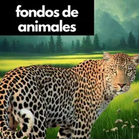 fondos de animales icon