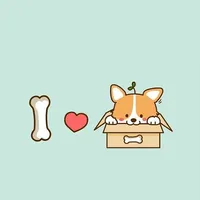 Corgi Wallpapers icon