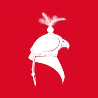 iFalcons icon