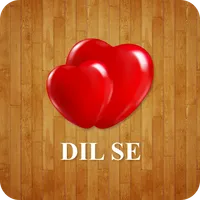 DIL SE icon