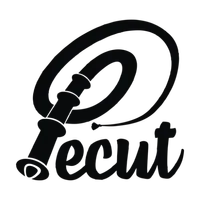 Pecut Kota Kediri icon