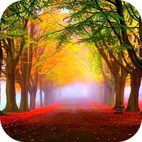 Autumn Wallpaper 2023 icon