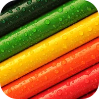 Colorful Wallpaper 2023 icon