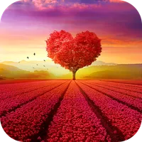 Love Wallpaper 2023 icon