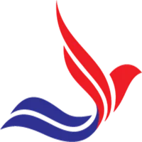 Divine Group icon