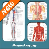 Human Anatomy icon