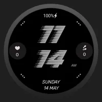 Race Watch Face icon