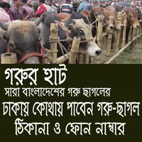 গরু ছাগলের হাটের ঠিকানা icon