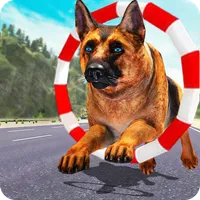 Dog Training: Dog Games icon