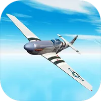 Dogfight 1943 Flight Sim 3D icon