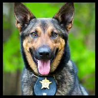 Dog K9 Wallpapers icon