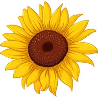 How to Draw a Sunflower Easy icon