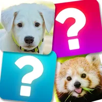 Match Game: Animals icon