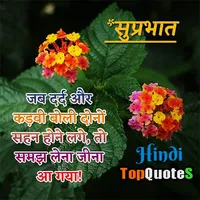 GoodMorning Hindi Quotes 2021 icon