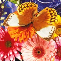 Butterfly Fluttering Puzzle icon