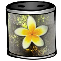 Magicolor Live Wallpaper icon