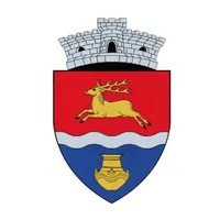 Primăria Lăpuș icon