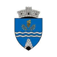 Primăria Roșia de Amaradia icon
