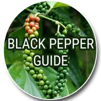 Black Pepper Guide icon