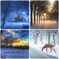 Winter Wallpapers icon