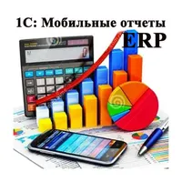 Мобильные отчеты 1с ERP icon
