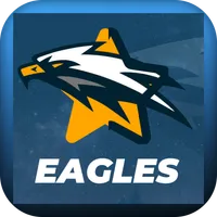 Eagles icon