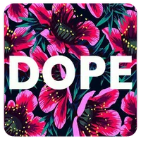 Dope Wallpapers MX icon