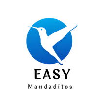 EASY DELIVERY icon