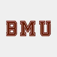 Blissful Marriage University icon