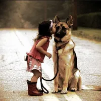 Mieux Connaitre Son Chien icon