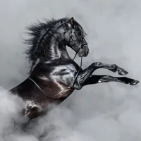 Fotos de Caballos icon