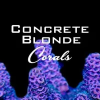 Concrete Blonde Corals Store icon
