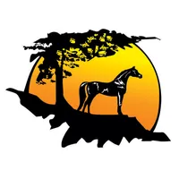 Shadowtree Equine Tack & Acces icon
