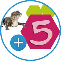 VZ | Exprésate Nat 5 icon
