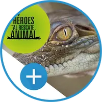 VZ | HÉROES AL RESCATE CAIMAN icon