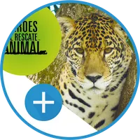 VZ | HÉROES AL RESCATE JAGUAR icon