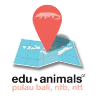 EduAnimals: P. Bali, NTB, NTT icon
