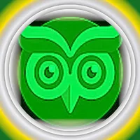 Payroll clear & concise icon