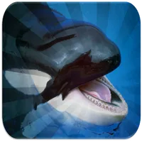 Killer Whales Sounds icon