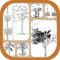 Learn to Draw Trees icon