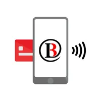 Libra Pay icon