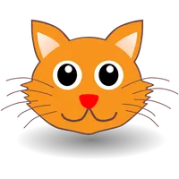 Funny Cat Videos icon