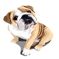 English Bulldog icon