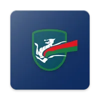 Terni League icon