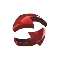 Credencial DPESLP icon