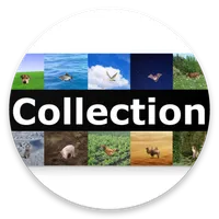 Collection icon