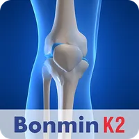 Bonmin K2 icon