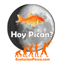 Hoy Pican icon