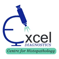 Excel Diagnostics icon