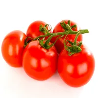 agriCount icon
